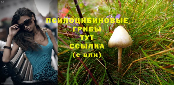 прущая мука Зеленодольск