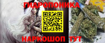 молекула духа Берёзовский