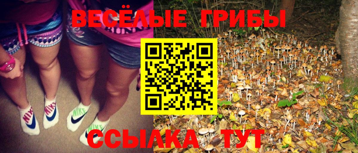 Галлюциногенные грибы мухоморы Грозный