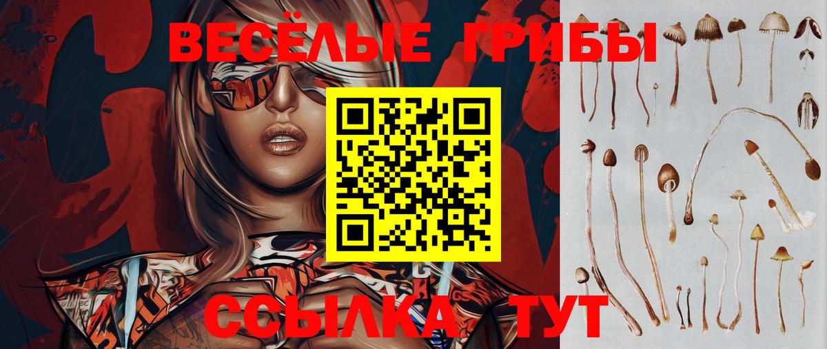 Галлюциногенные грибы прущие грибы  Грозный 