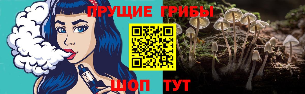Псилоцибиновые грибы GOLDEN TEACHER  Вход с VPN  Грозный 