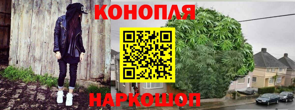 Шишки марихуана индика Грозный